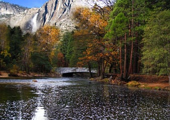 Parque Nacional Yosemite: día completo - Imagen 2