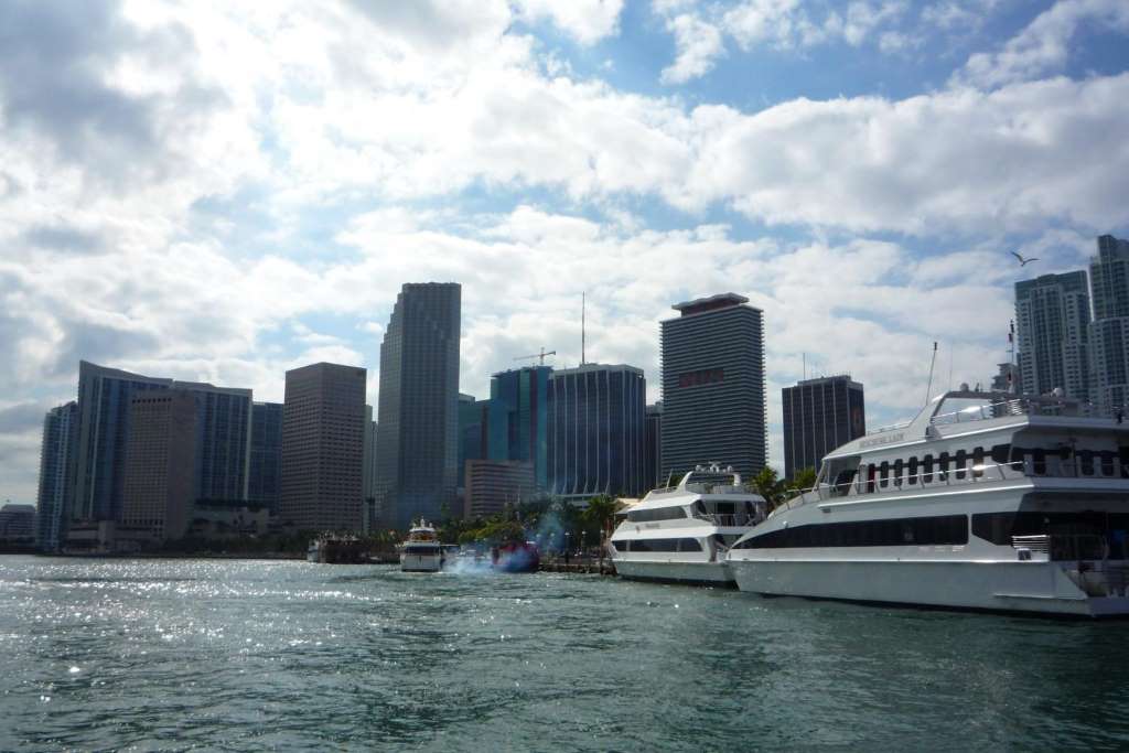 Pesca Esportiva em Miami - Imagen 3