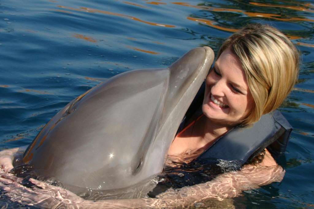 Nado con Delfines Adventure Swim - Imagen 2