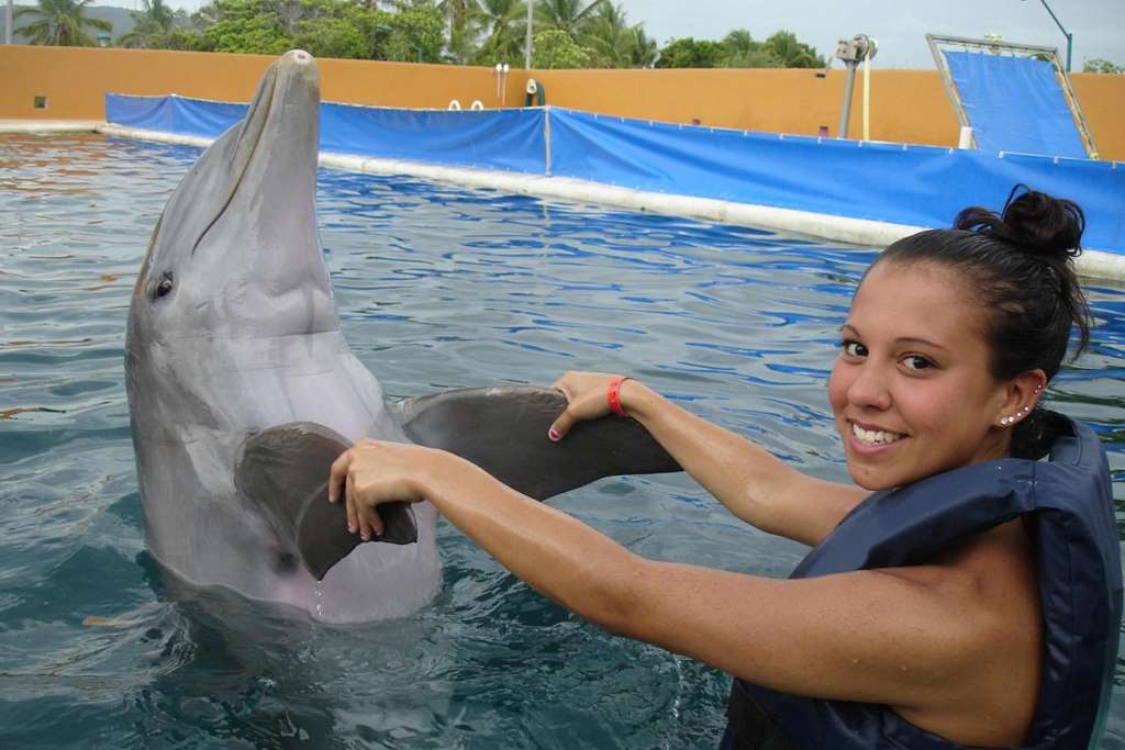 Nado con Delfines Adventure Swim - Imagen 4