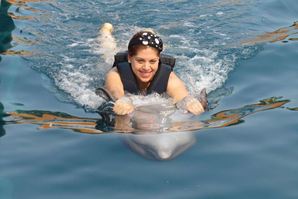 Dolphin Encounter - Isla Mujeres - Imagen 4