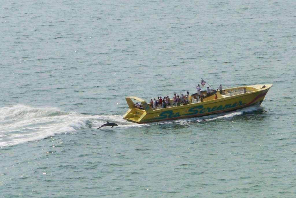 Crucero Sea Screamer con Playa Clearwater - Imagen 3