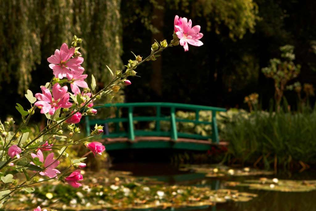 Giverny and Versailles with Lunch - Imagen 4