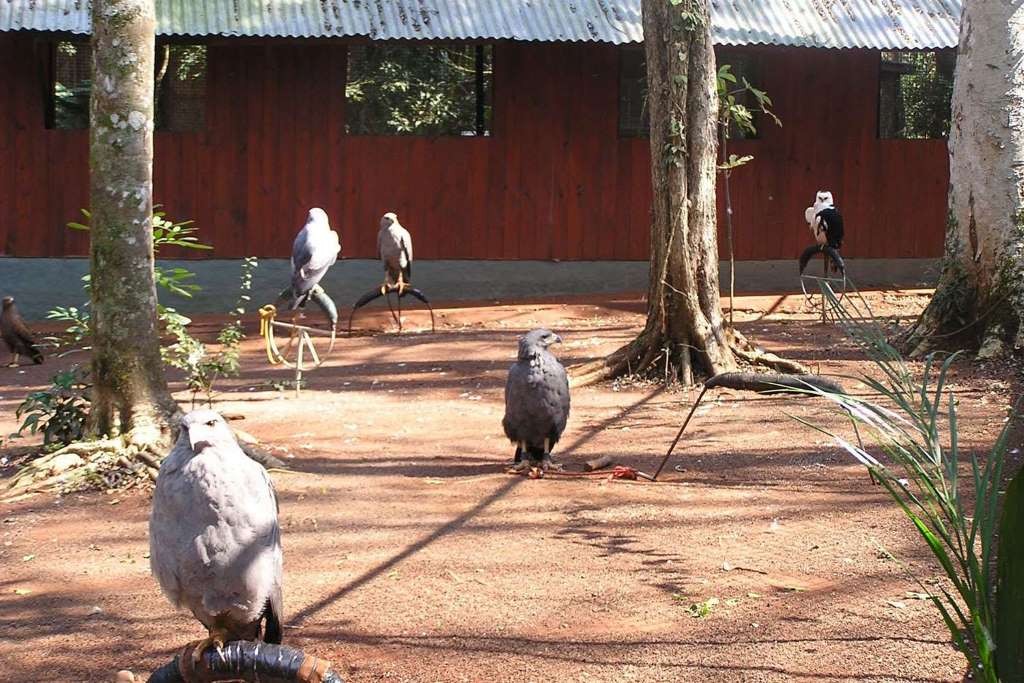 City tour Iguazú desde Foz de Iguaçu - Imagen 3