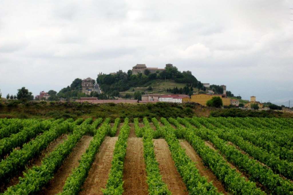 La Rioja y sus bodegas - Imagen 2