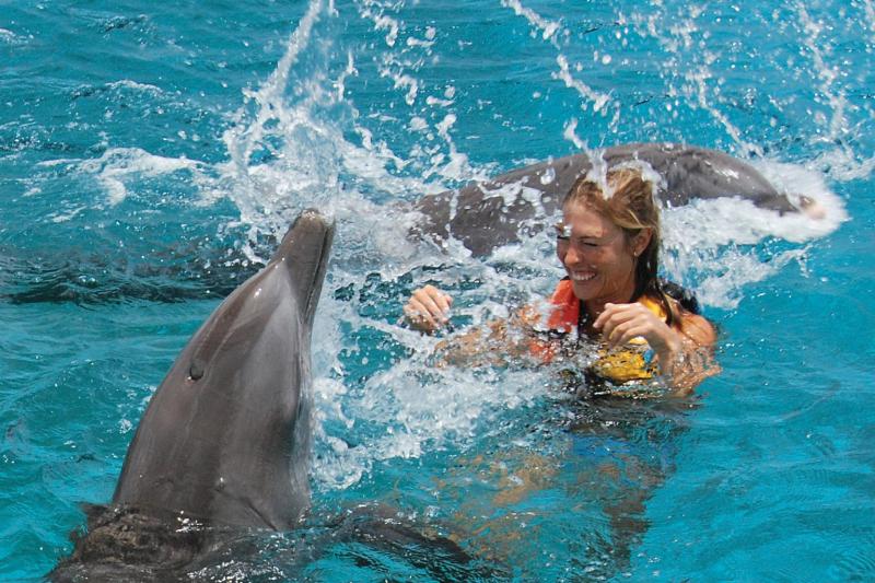 Dolphin Royal Swim: nado com golfinhos - Imagen 2