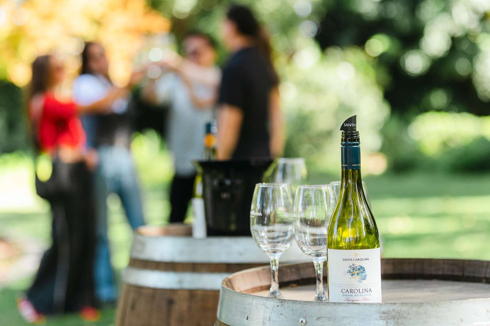 Santa Carolina Vineyard - Imagen 2