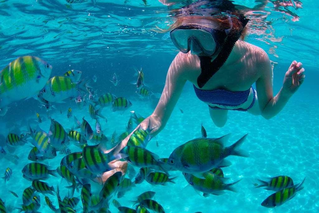 Un Día en Key West mas Aventura de Snorkel - Imagen 3