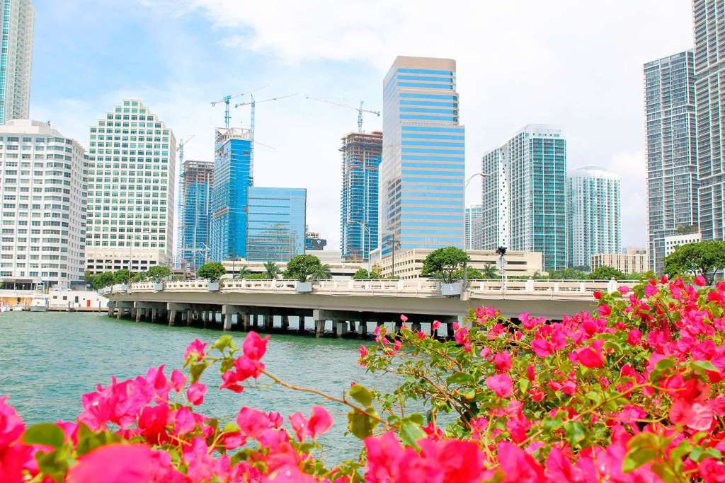 Miami City Tour y paseo por Biscayne - Imagen 2