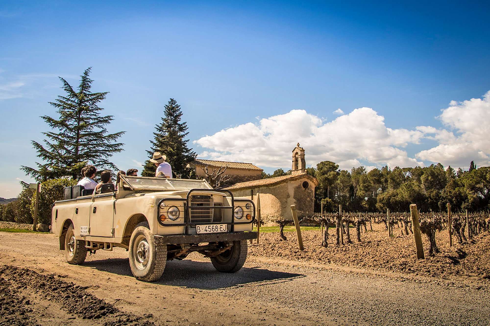 Vino, cava y tapas con ruta 4x4 en viñedos - Imagen 1