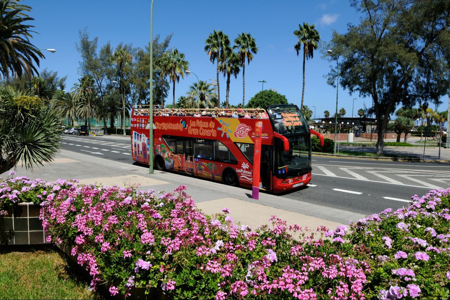 Las Palmas 24-Hour Hop-On Hop-Off Bus - Imagen 1