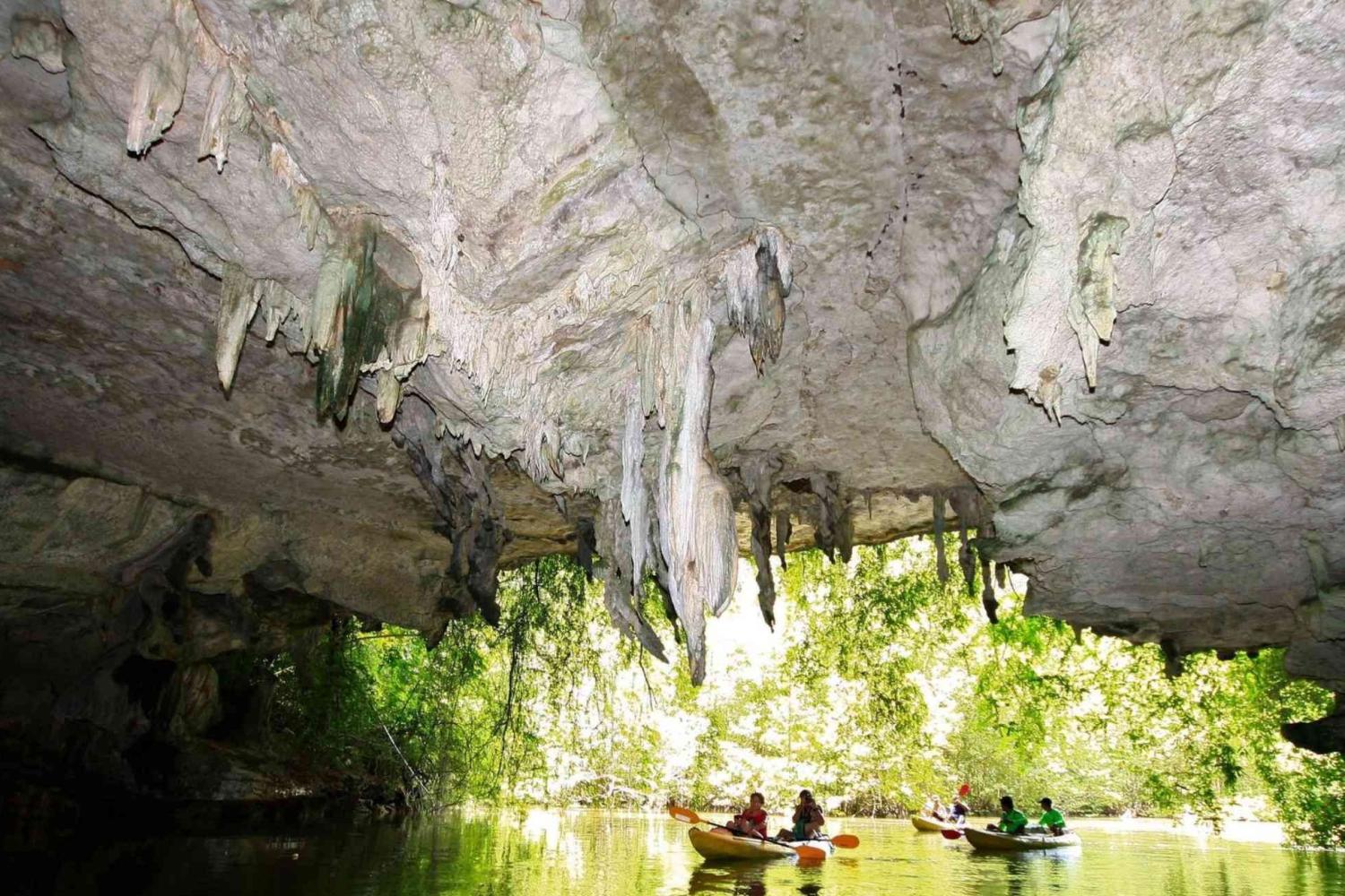 Kayak en el bosque para Thor - Imagen 1