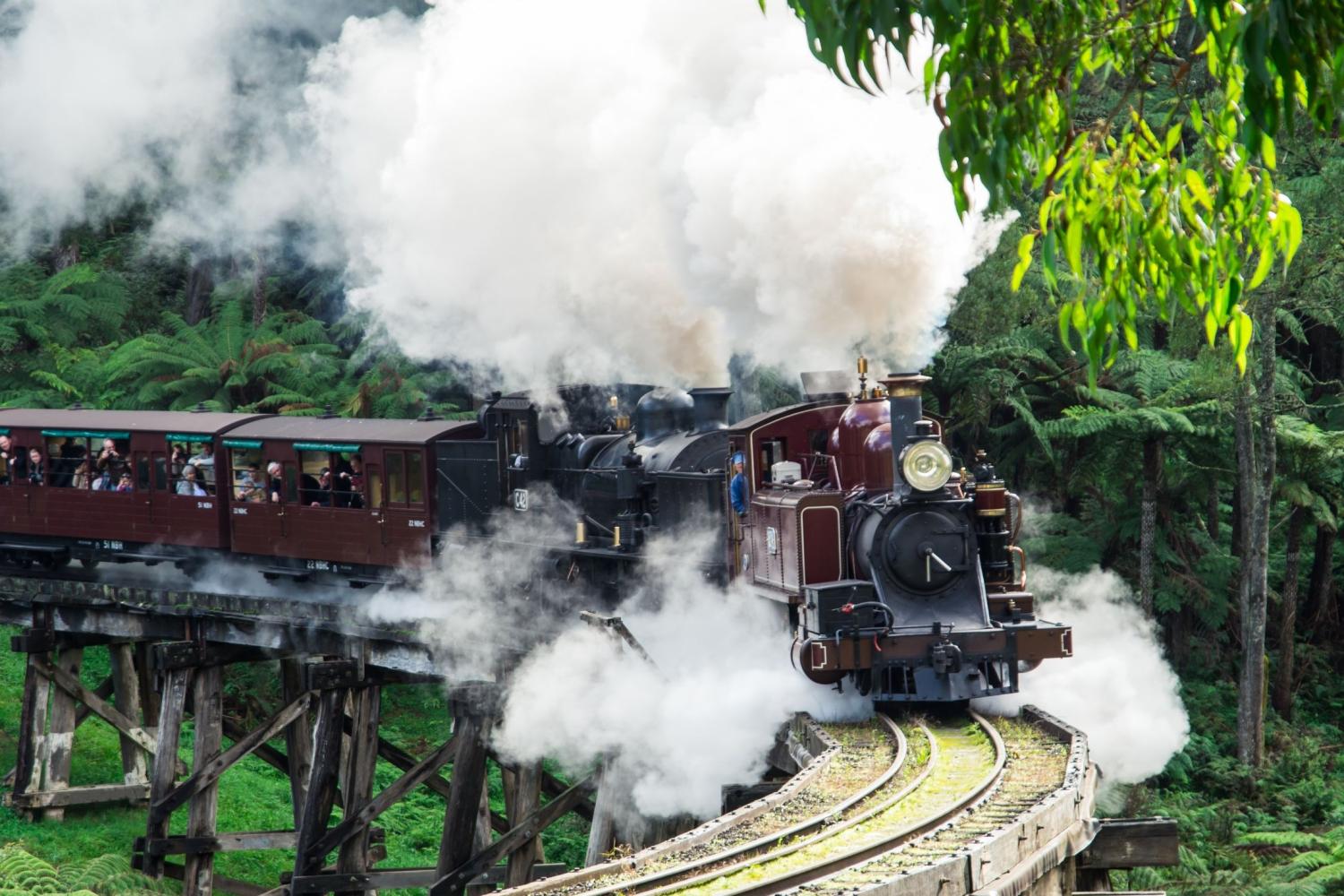 Tren Puffing Billy y Santuario Healesville - Imagen 1