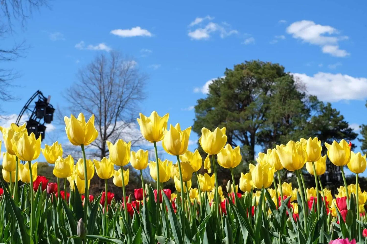 Tour Floriade - Imagen 1