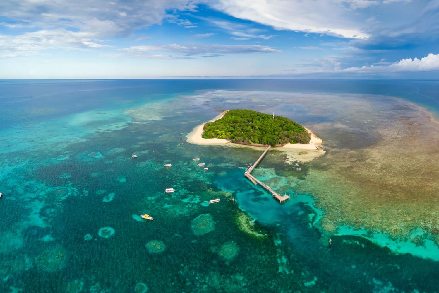 Green Island con Great Adventures - Imagen 1