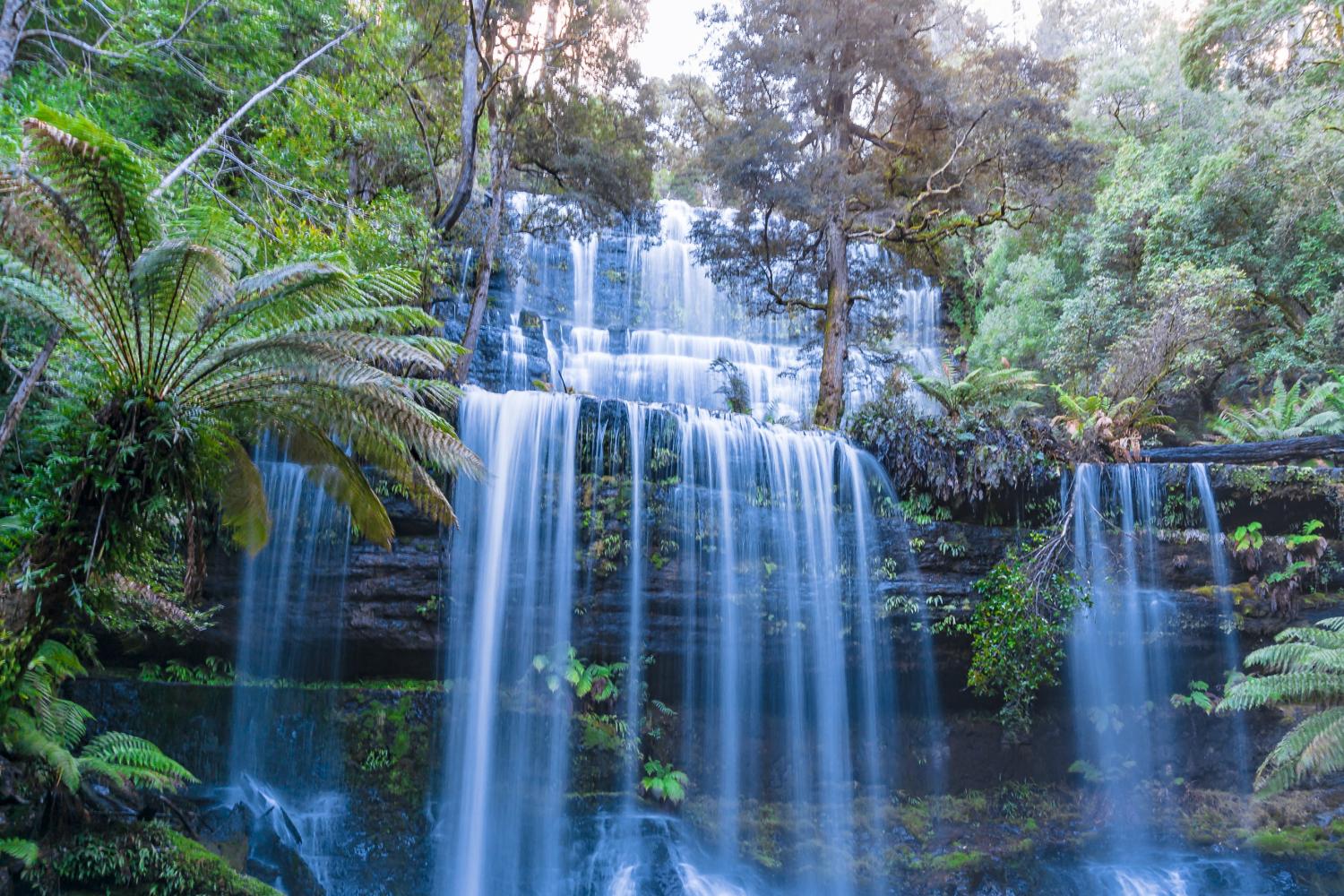 Monte Field Monte Wellington y Tassie Devils - Imagen 1