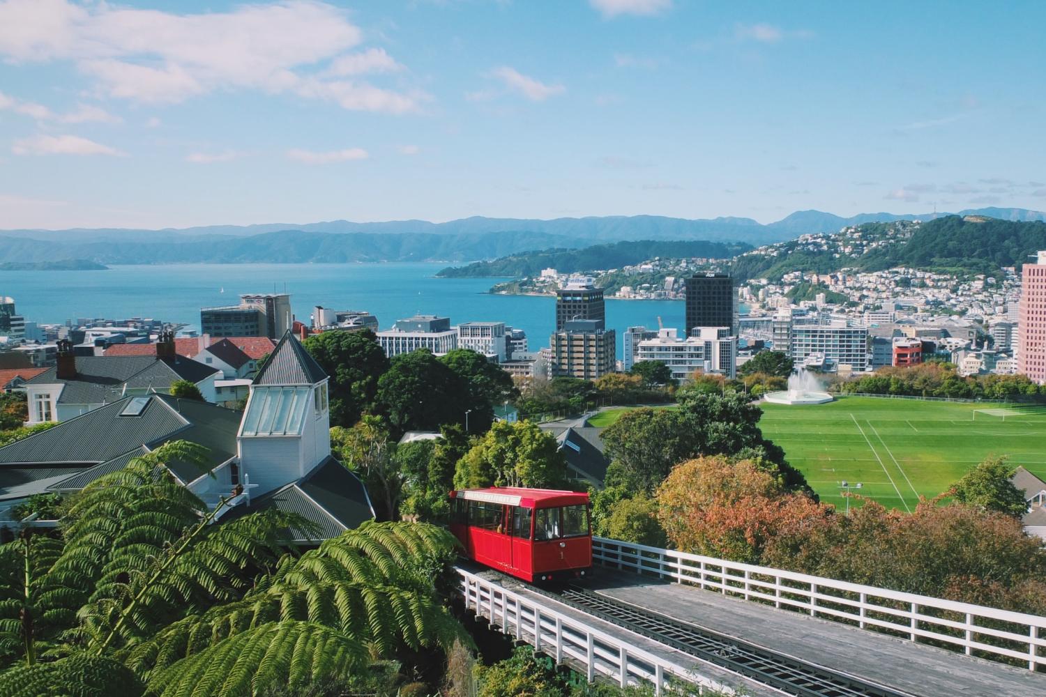 Excursão de dia inteiro a Wellington - Imagen 1