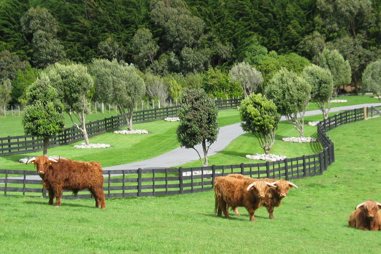 Tour a Shenandoah: tour exclusivo - Imagen 1