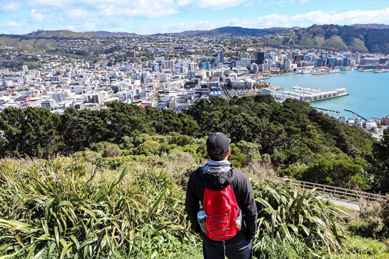 Tour de medio día a Wellington - Imagen 1