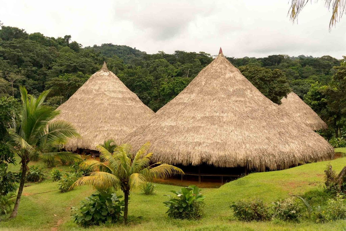 Excursión a la cultura indígena Emberá - Imagen 1