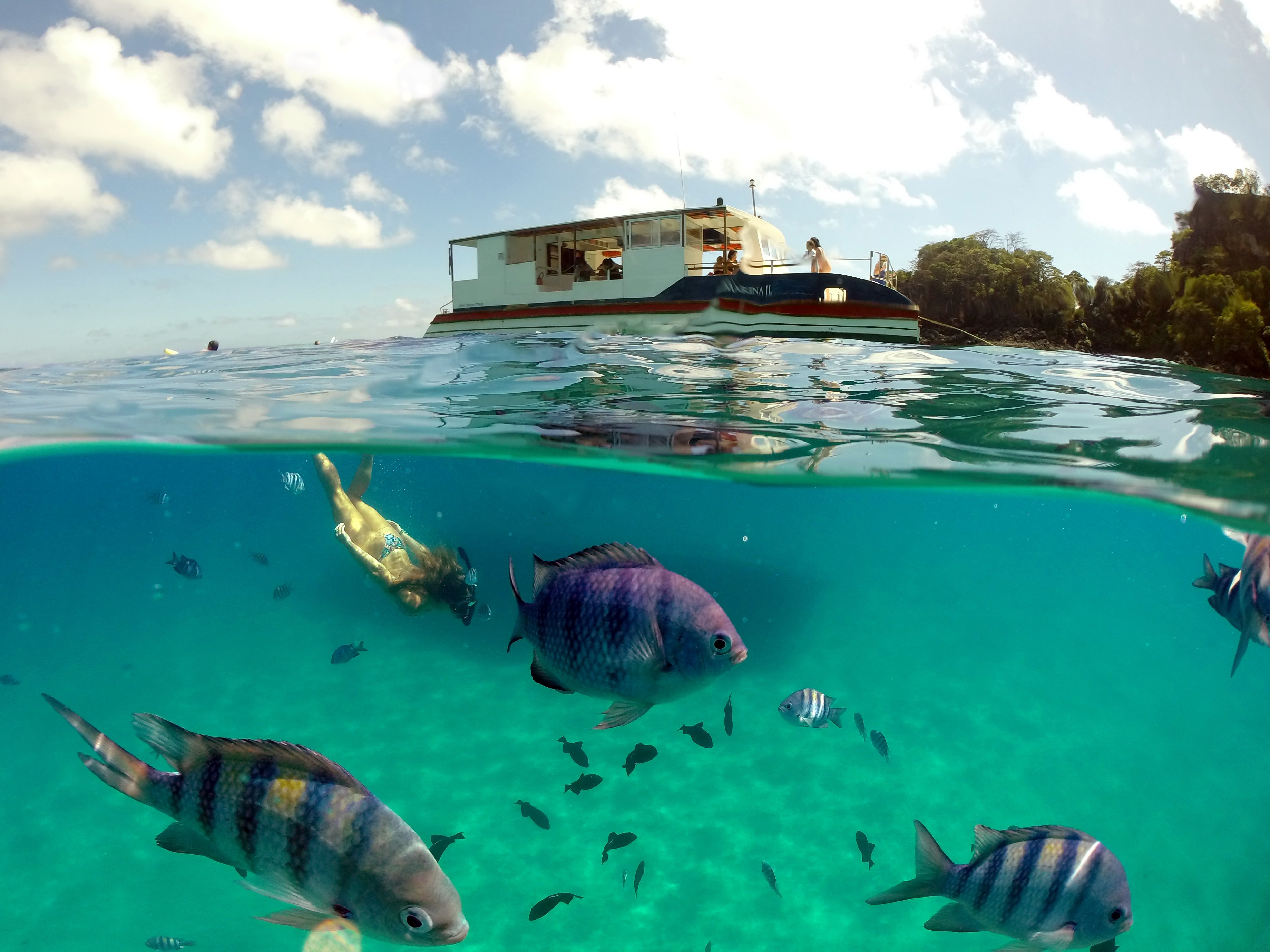 Barco por Noronha y Bahía del Sancho - Imagen 1