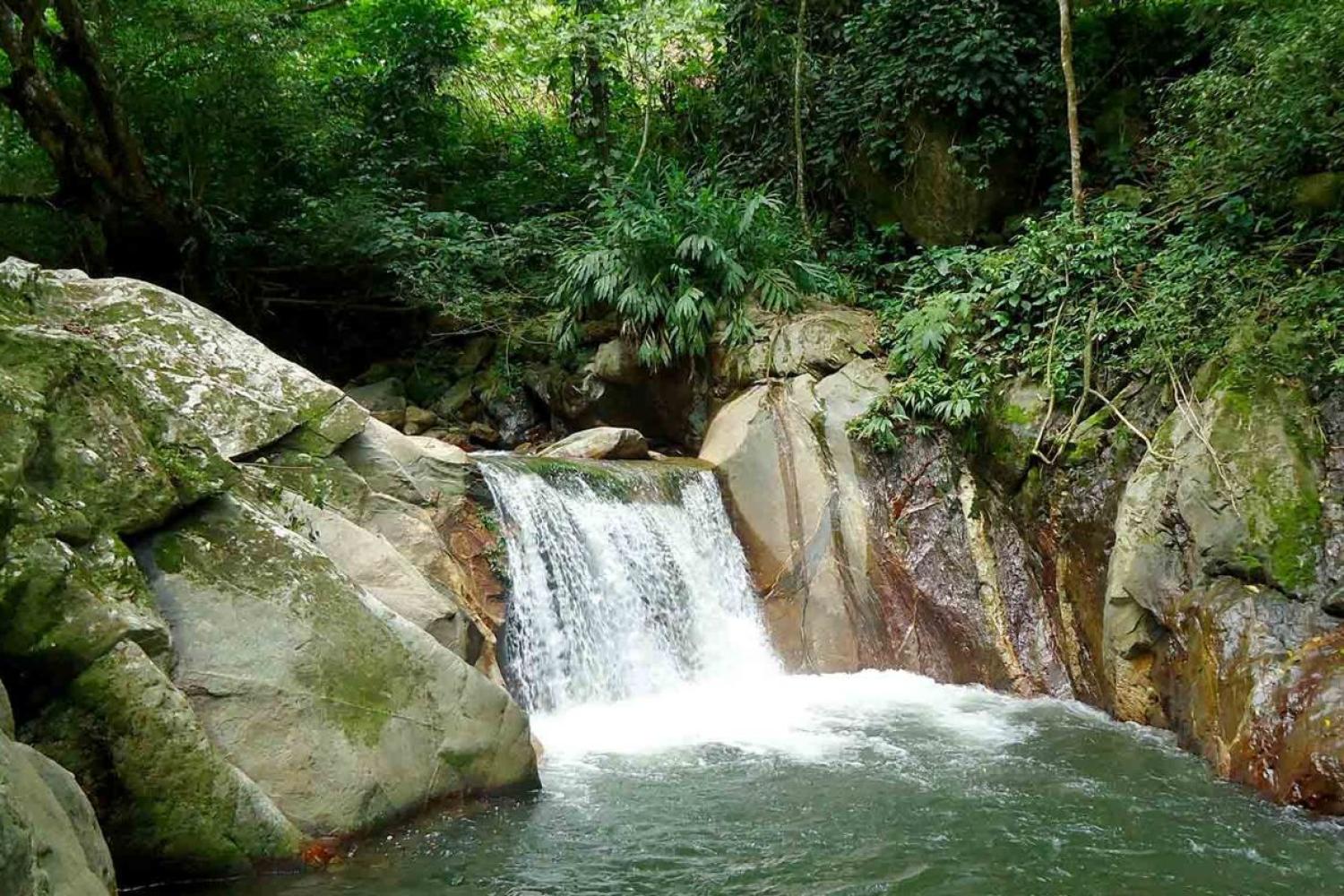 Visita a Minca desde Santa Marta - Imagen 1