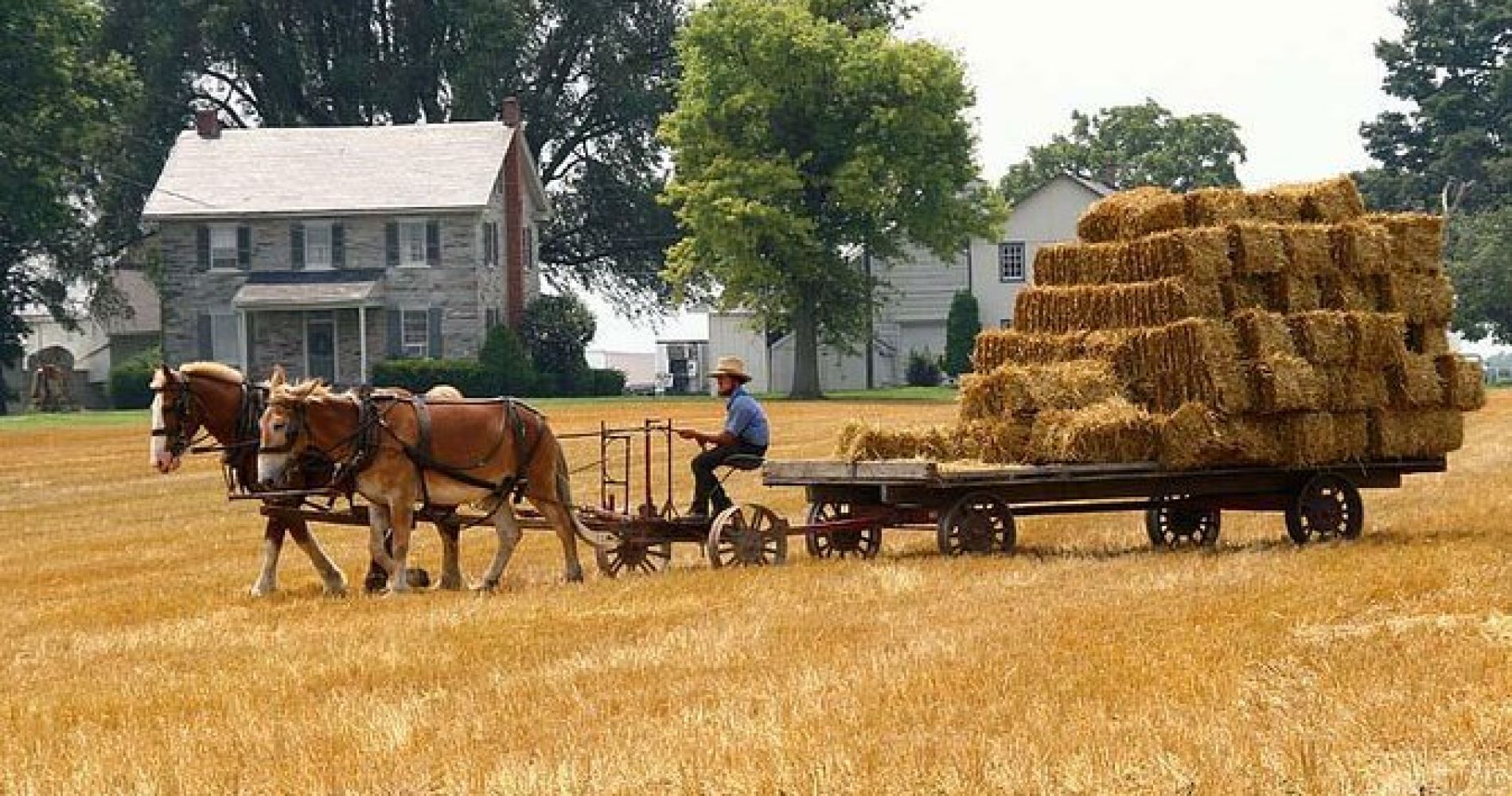 Philadelphia and Amish Village in Spanish - Imagen 1