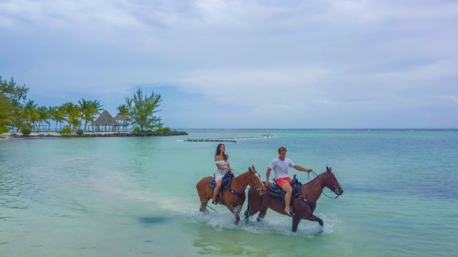 Swim Horse from Punta Cana - Imagen 1