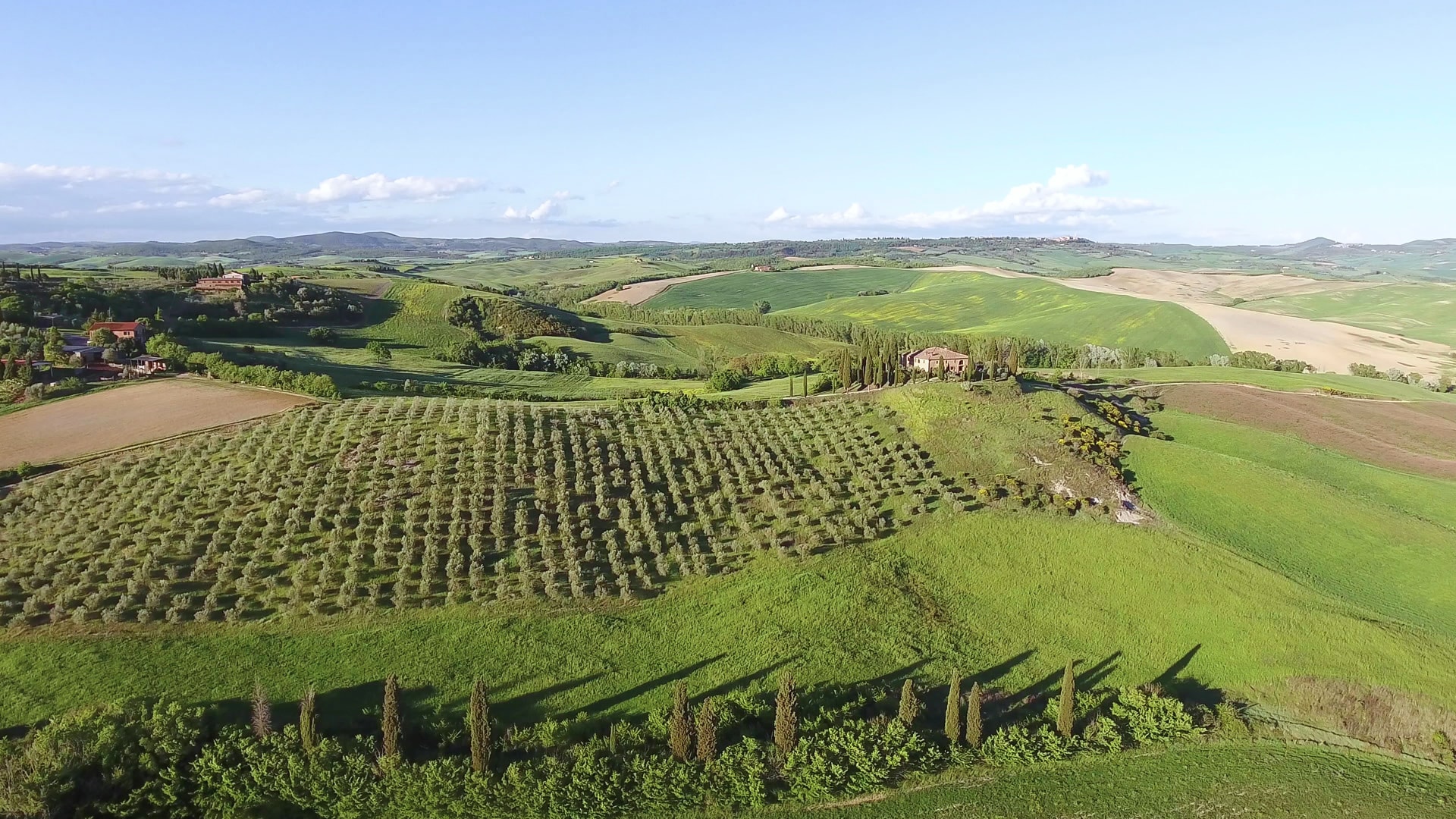 Chianti Morning Tour with Wine and Food - Imagen 1