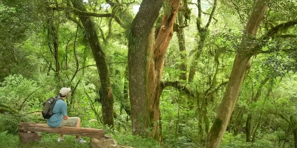 Trekking en San Lorenzo, Salta - Imagen 1