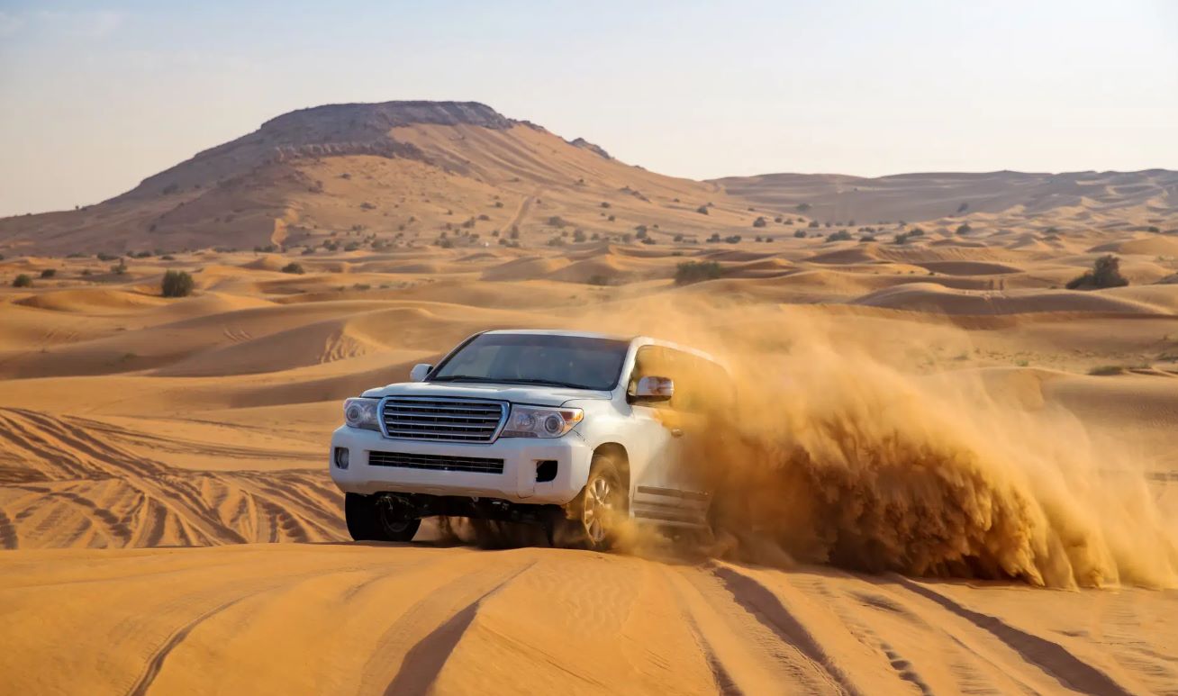 Desert safari - Imagen 1