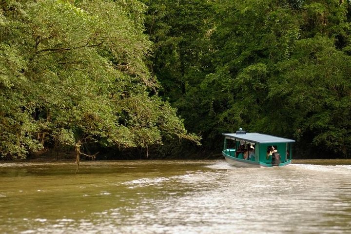 Safari en barco en el Sarapiquí con almuerzo - Imagen 1