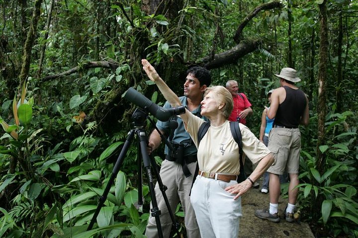 Observación de aves desde San José - Imagen 1