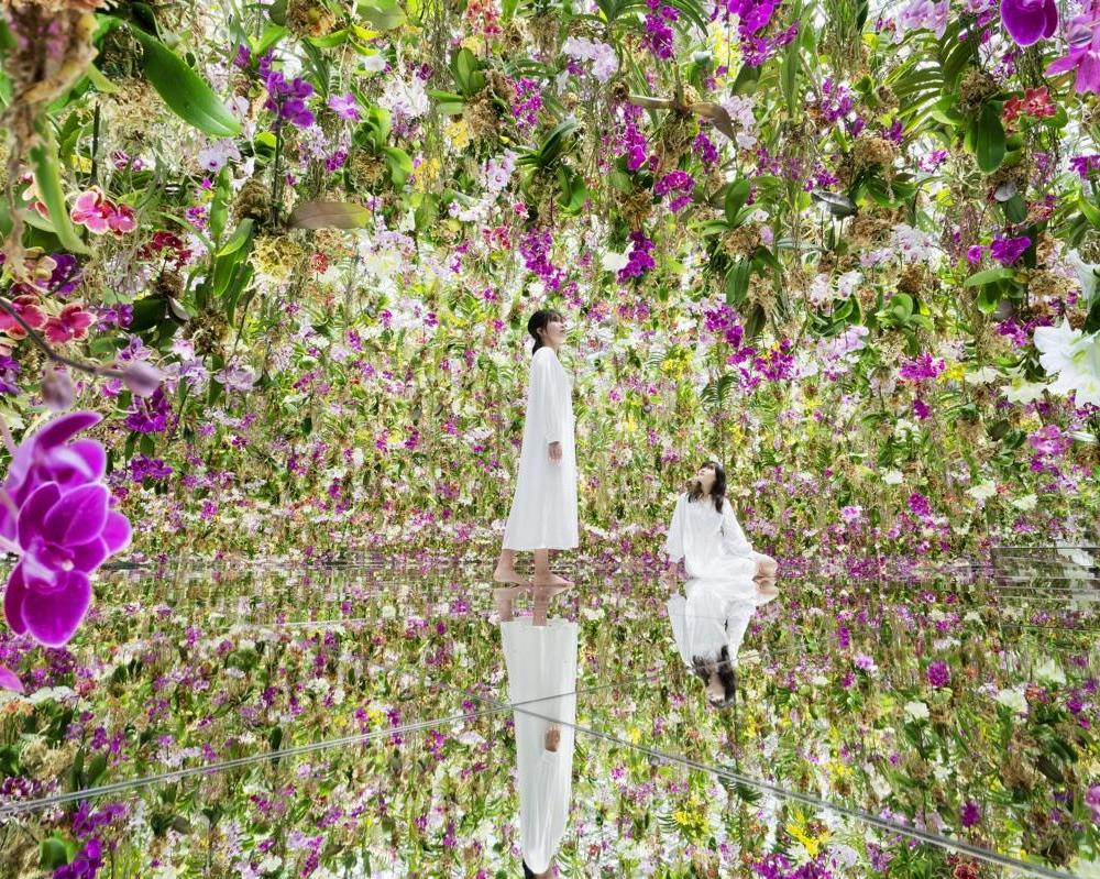 Tokyo Skytree y teamLab Planets: combo - Imagen 1