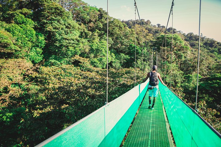 Paseo aéreo desde Monteverde - Imagen 1
