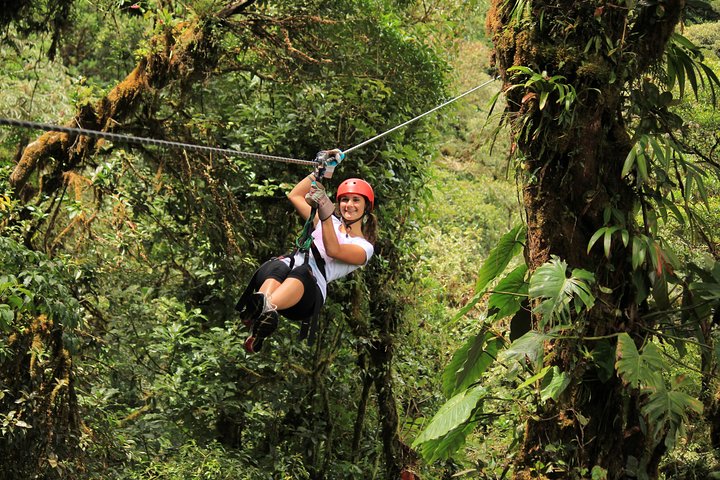 Selvatura Park Combo Tour De Monteverde - Imagen 1