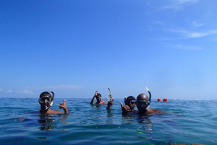 Snorkel en Cahuita y santuario de perezosos - Imagen 1