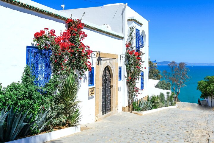 Cartago y Sidi Bou Said con almuerzo - Imagen 1