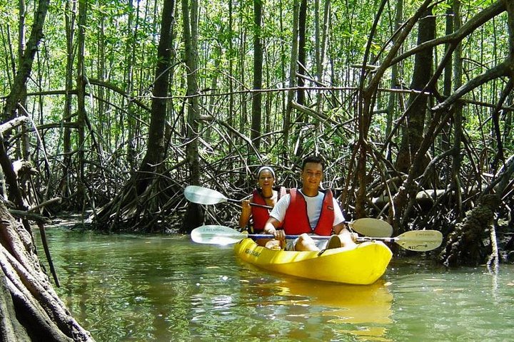 Kayak a isla Damas desde Manuel Antonio - Imagen 1