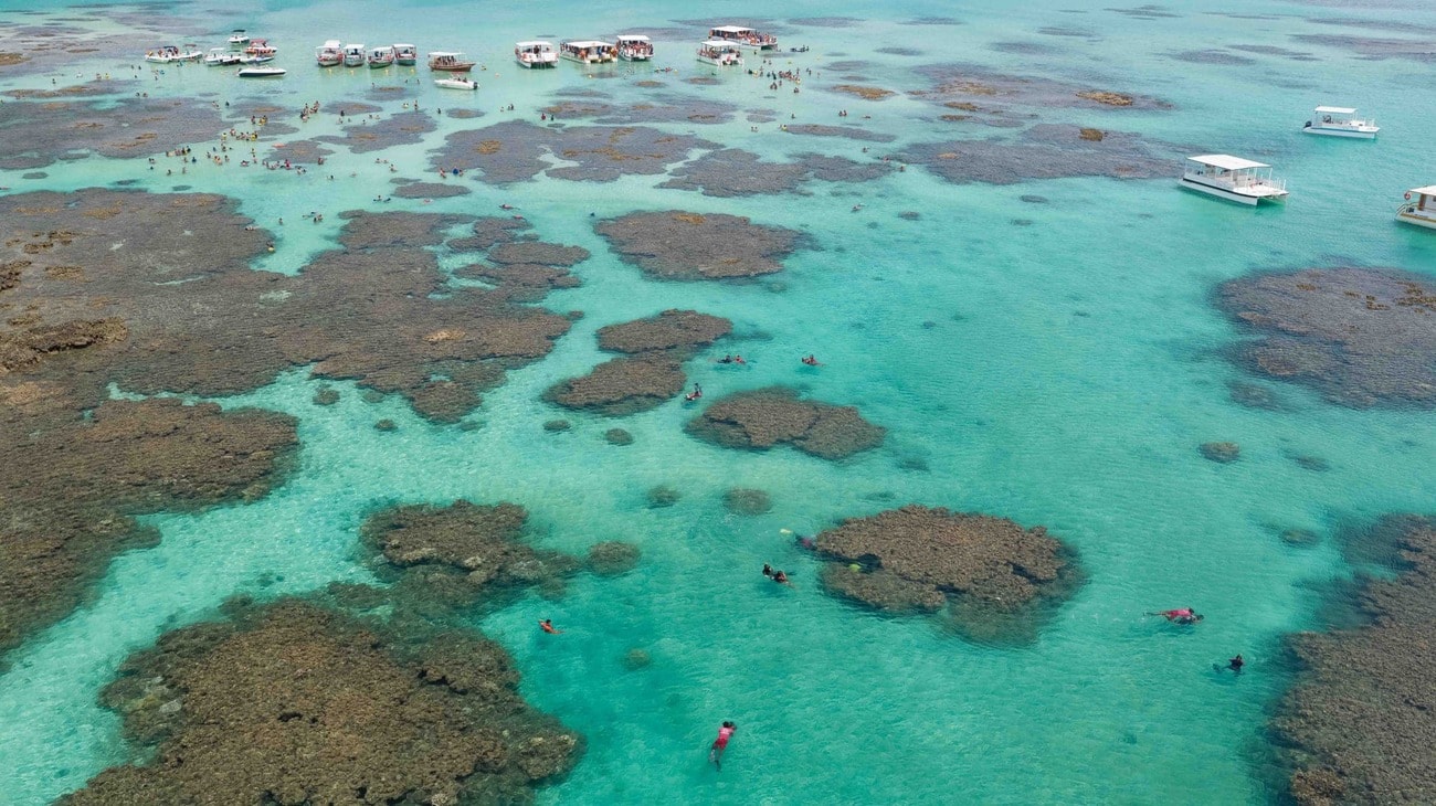 Tour a Maragogi - Imagen 1