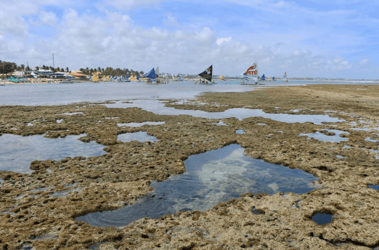Visita a Porto de Galinhas - Imagen 1