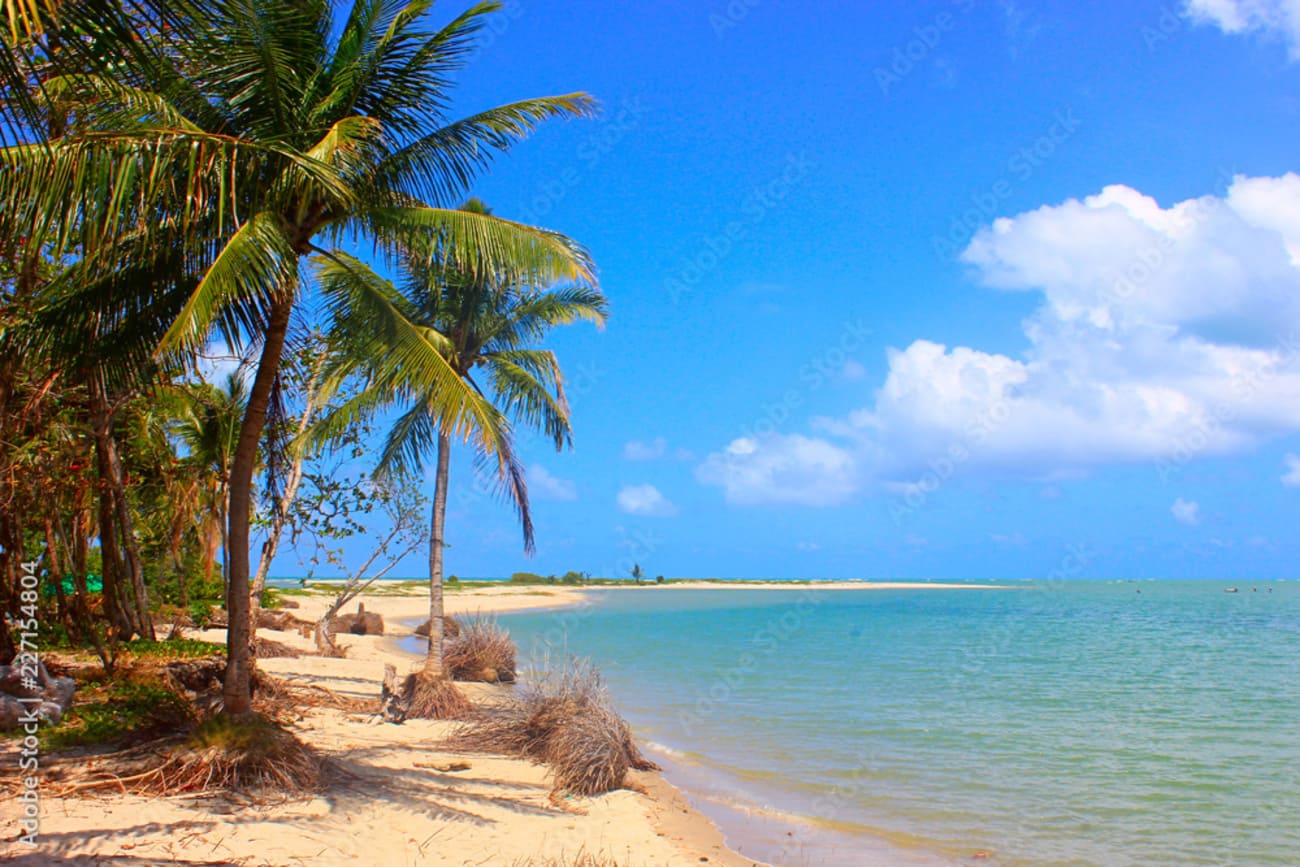 Litoral Norte desde Porto de Galinhas - Imagen 1