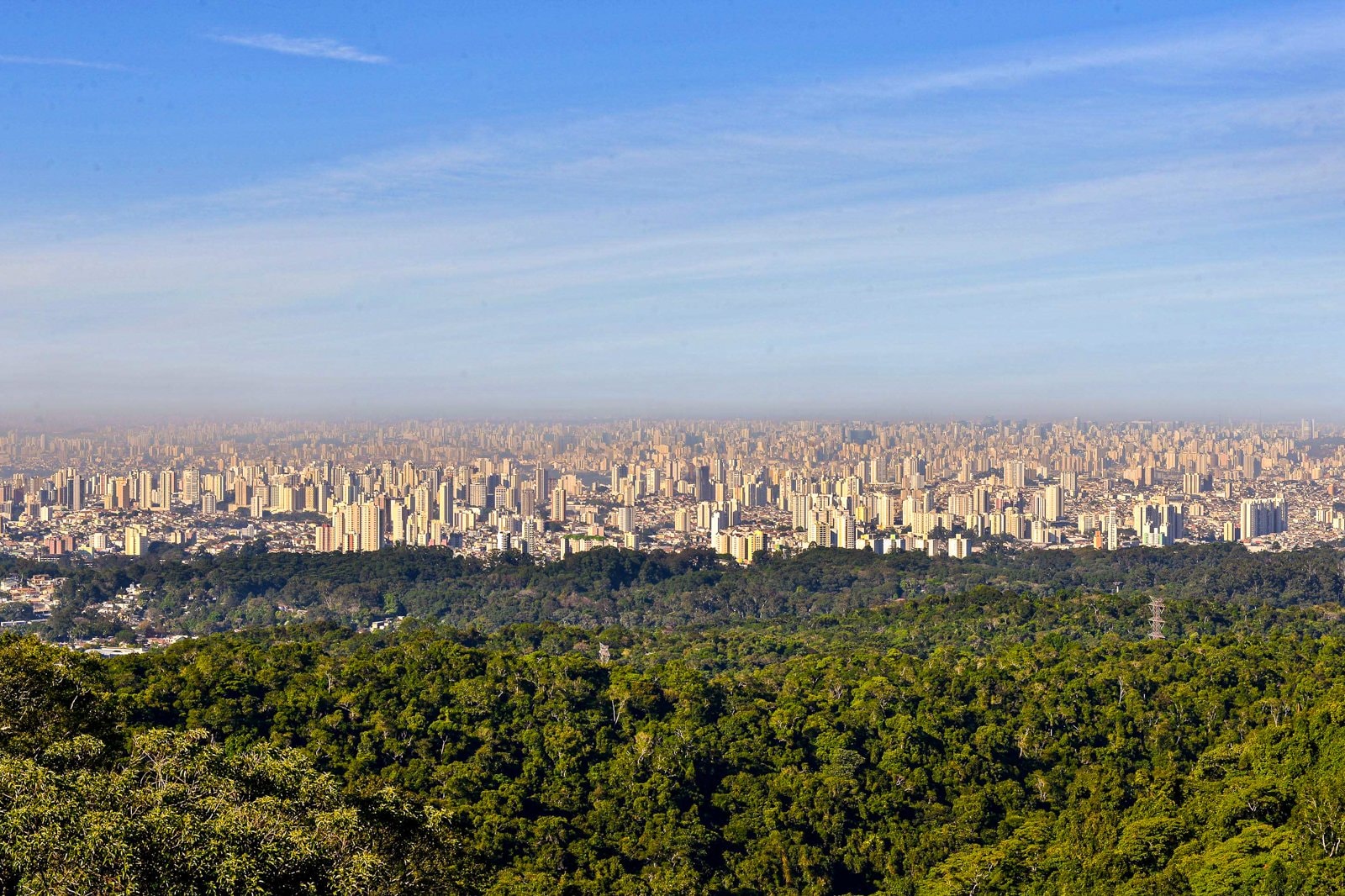 Tour ecológico Parque Estatal Cantareira - Imagen 1