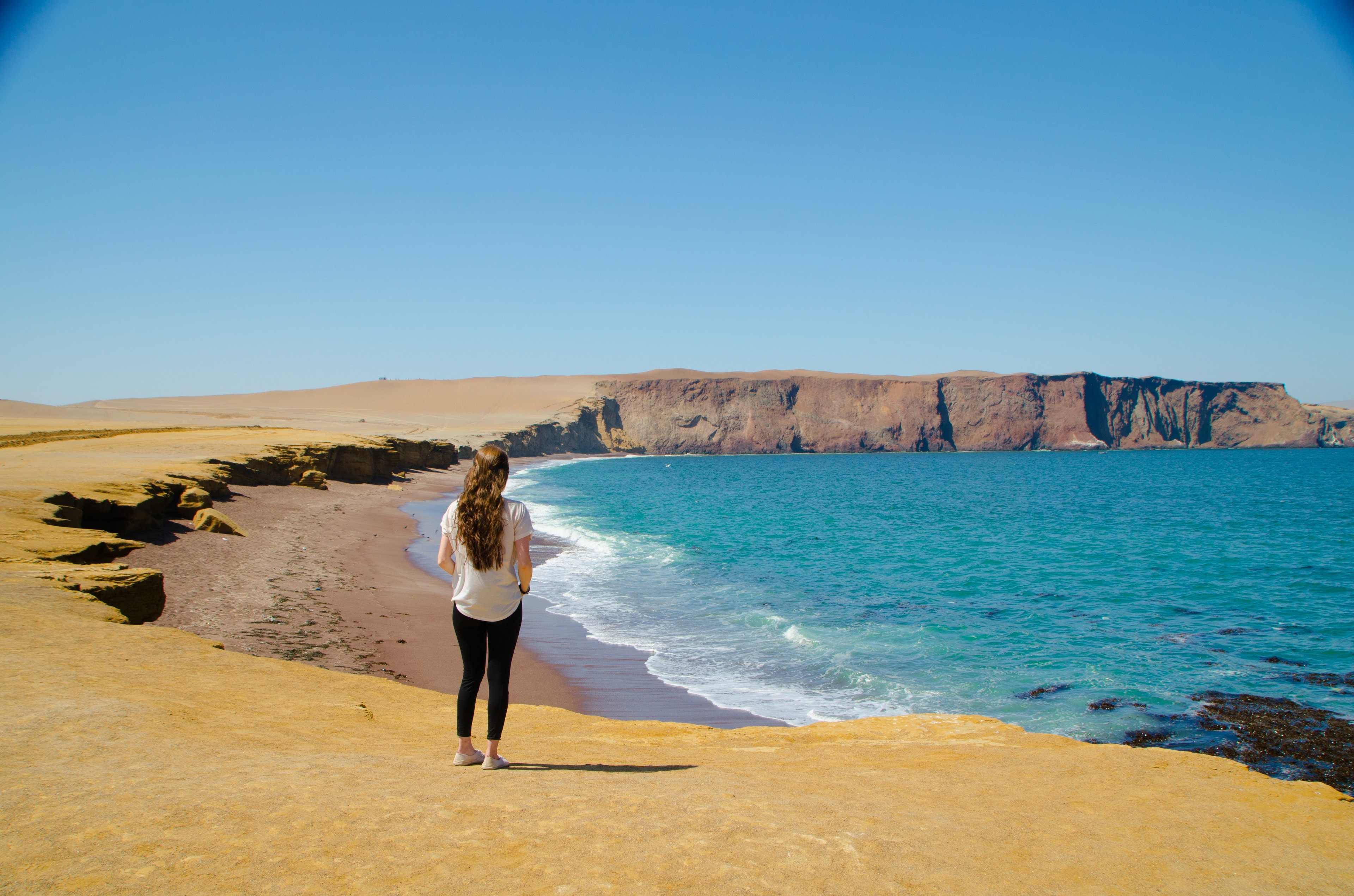 Ballestas y Reserva de Paracas: día completo - Imagen 1