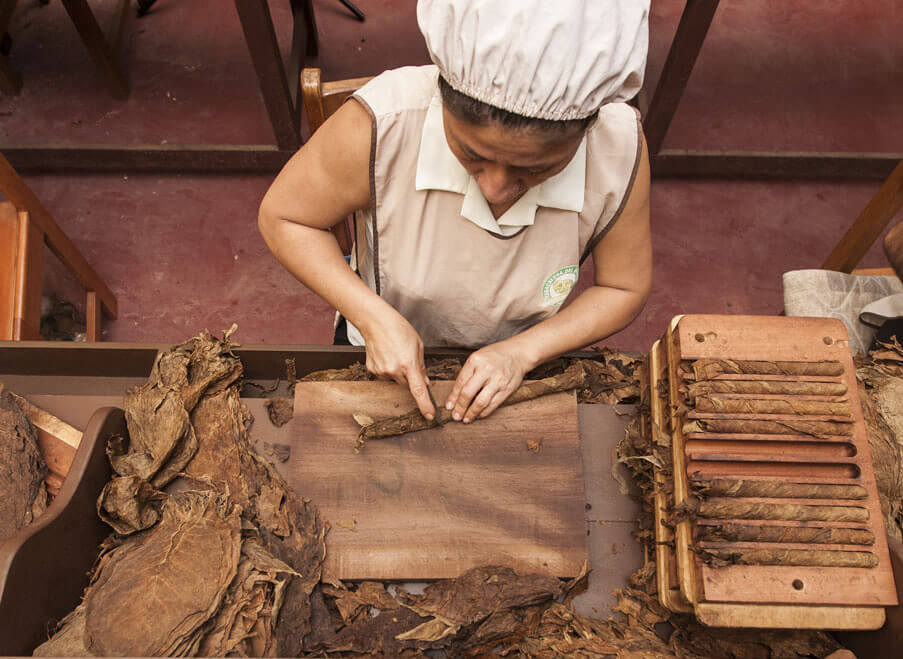 Tarapoto: ciudad, chocolate y animales - Imagen 1