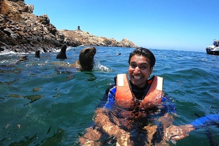 Nado con leones marinos en Islas Palomino - Imagen 1