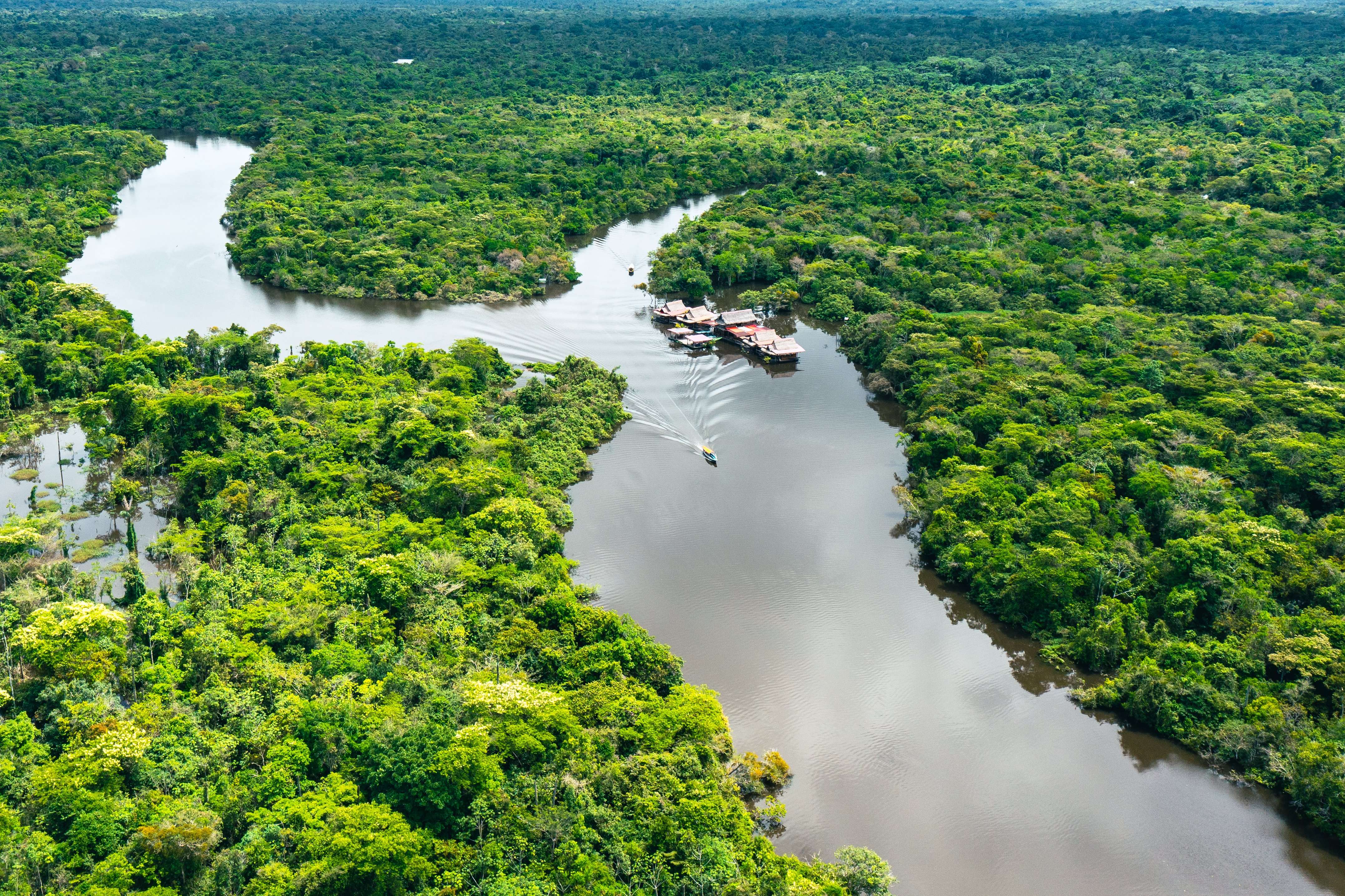 Selva de Iquitos: 4 días/3 noches - Imagen 1