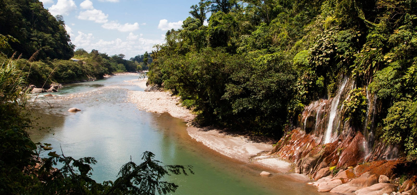 Reserva Alto Mayo de Tarapoto - Imagen 1