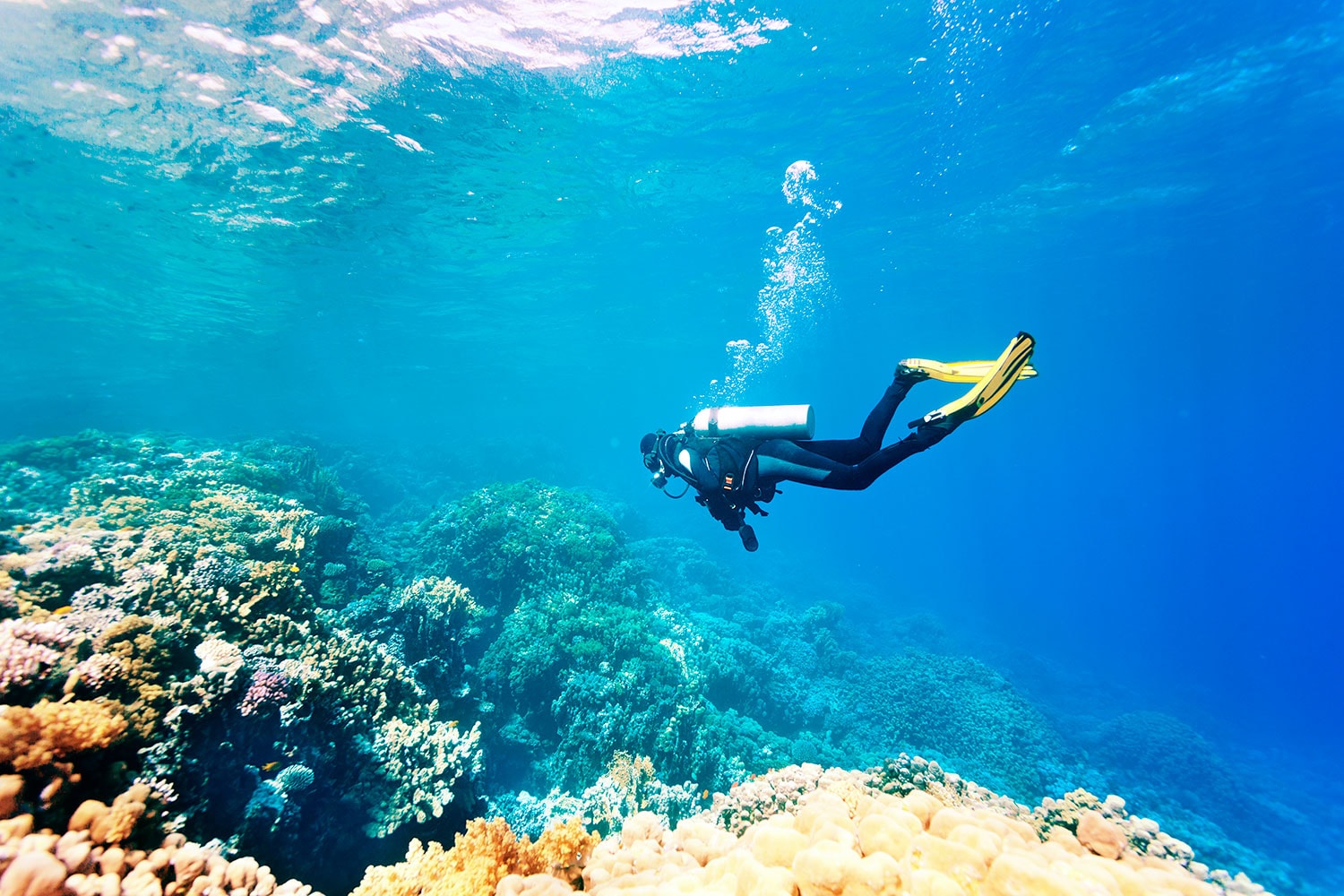 Buceo y descubrimiento en Máncora - Imagen 1