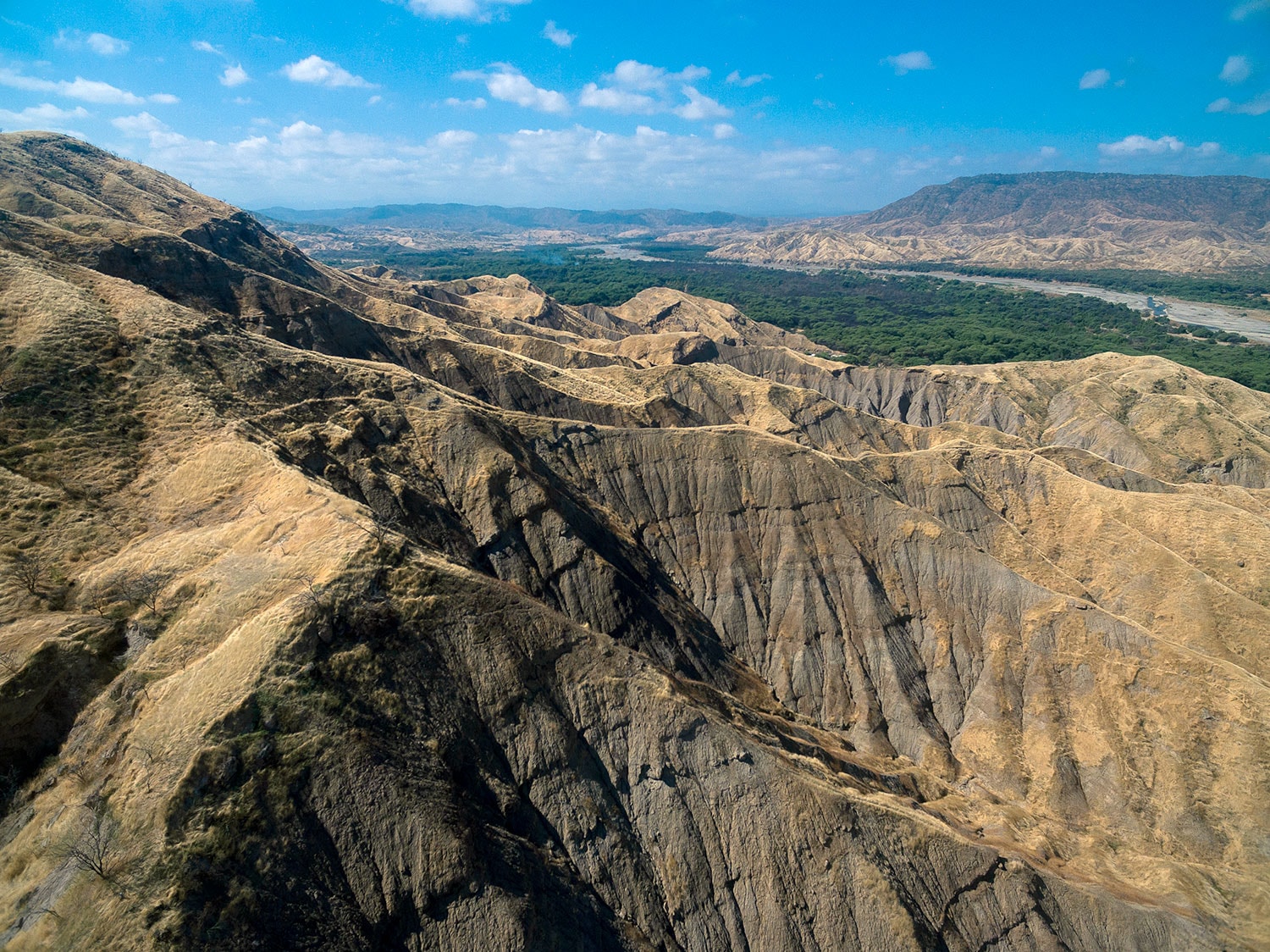 Parque Nacional Cerros de Amotape - Imagen 1